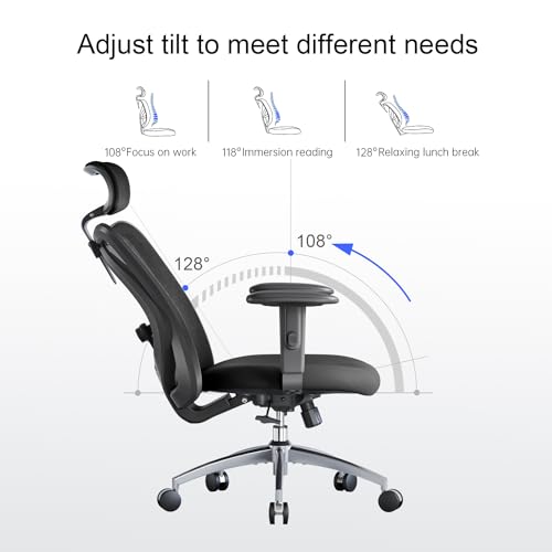 Ergonomic Office Chair for Big and Tall People with Adjustable Headrest and Lumbar Support R965182