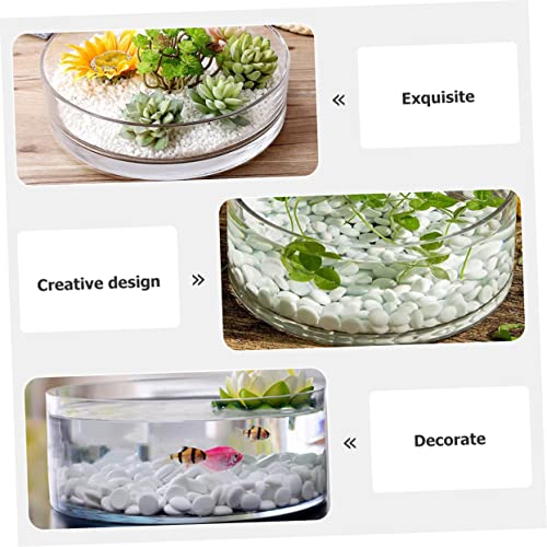 Glass Hydroponic Vase Terrarium Planter for Succulents and Fish Tank I270