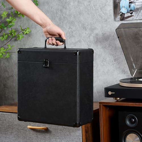 Vinyl Record Storage and Carrying Case, Holds 30 Albums H2930