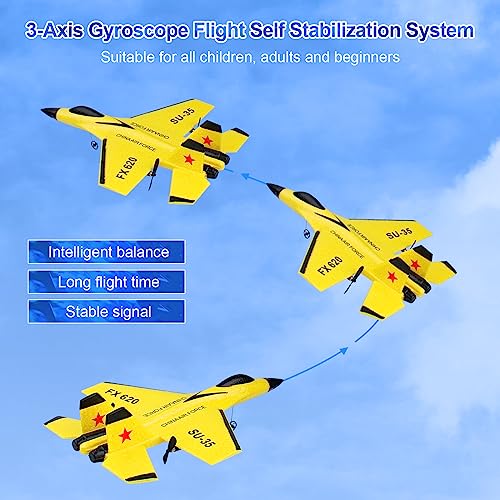 RC Airplane 2.4GHz Ready to Fly with Night Lights USB Charging R21201