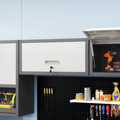 Wall Cabinet with 2 Doors, Lockable, Adjustable Shelves, Heavy Duty Steel J4545