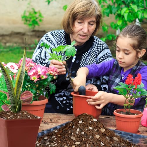 Bonsai Soil Mix, Fast Draining Organic Potting Mix J925