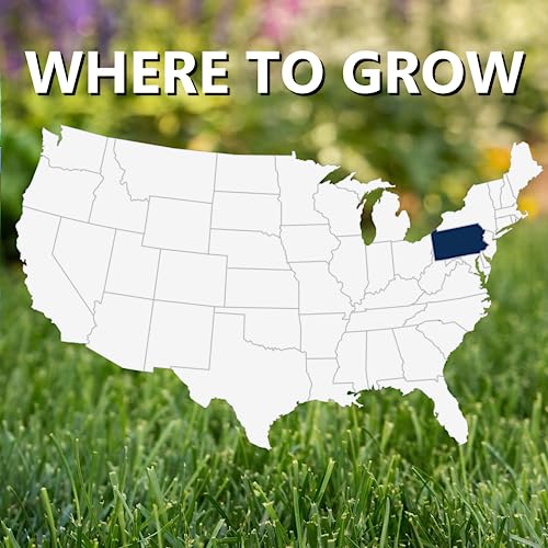 Black Beauty Keystone PA Grass Seed - Cool Season Lawn Seed (7 lb) M3080