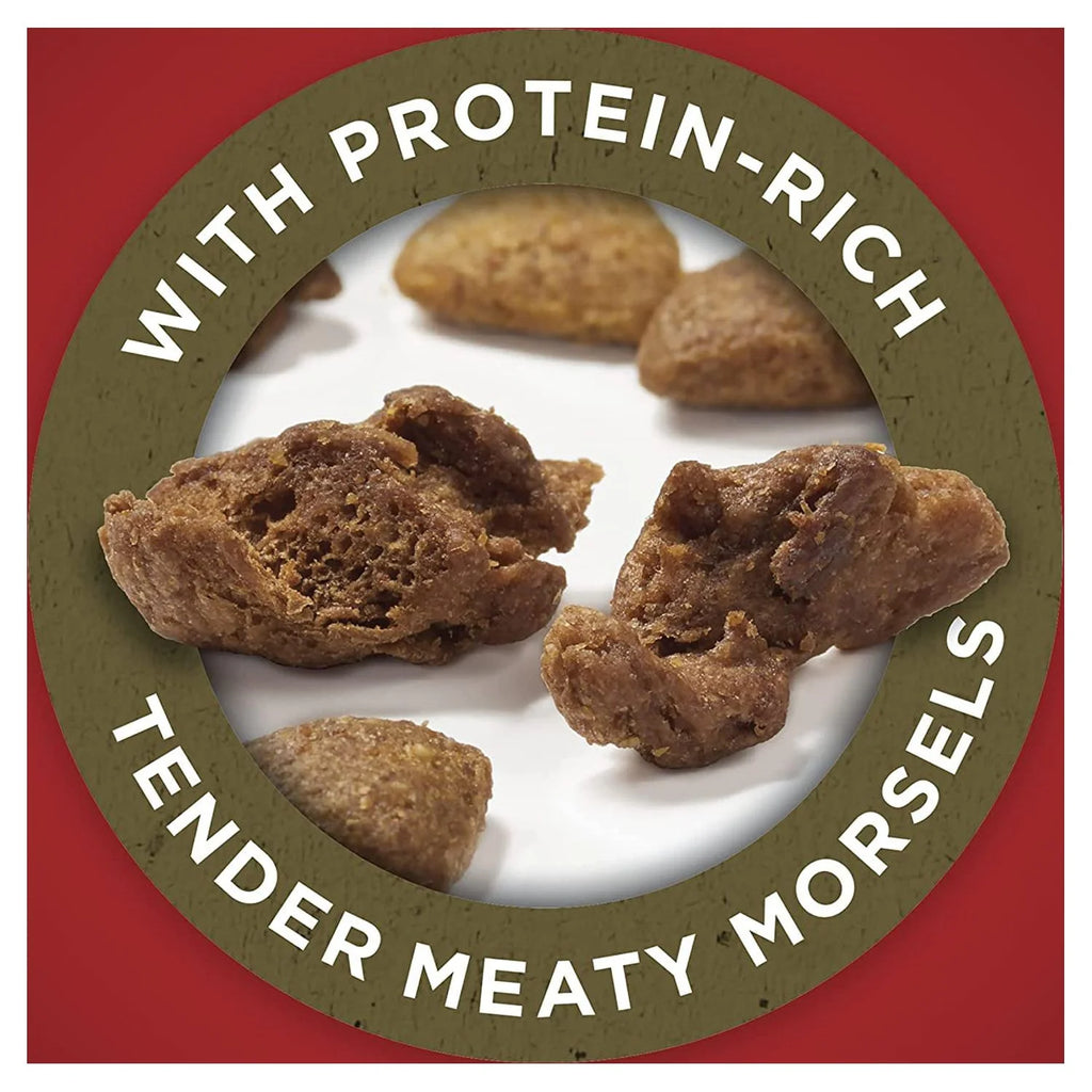 Natural Dry Dog Food, Lamb & Rice Formula E1254