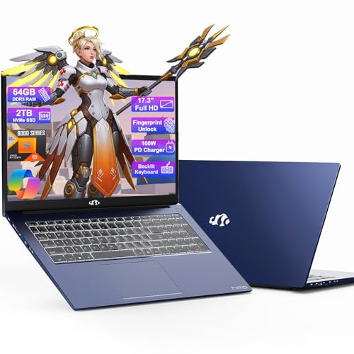 17.3" Gaming Laptop Ryzen 9 16GB RAM 1TB SSD C714331
