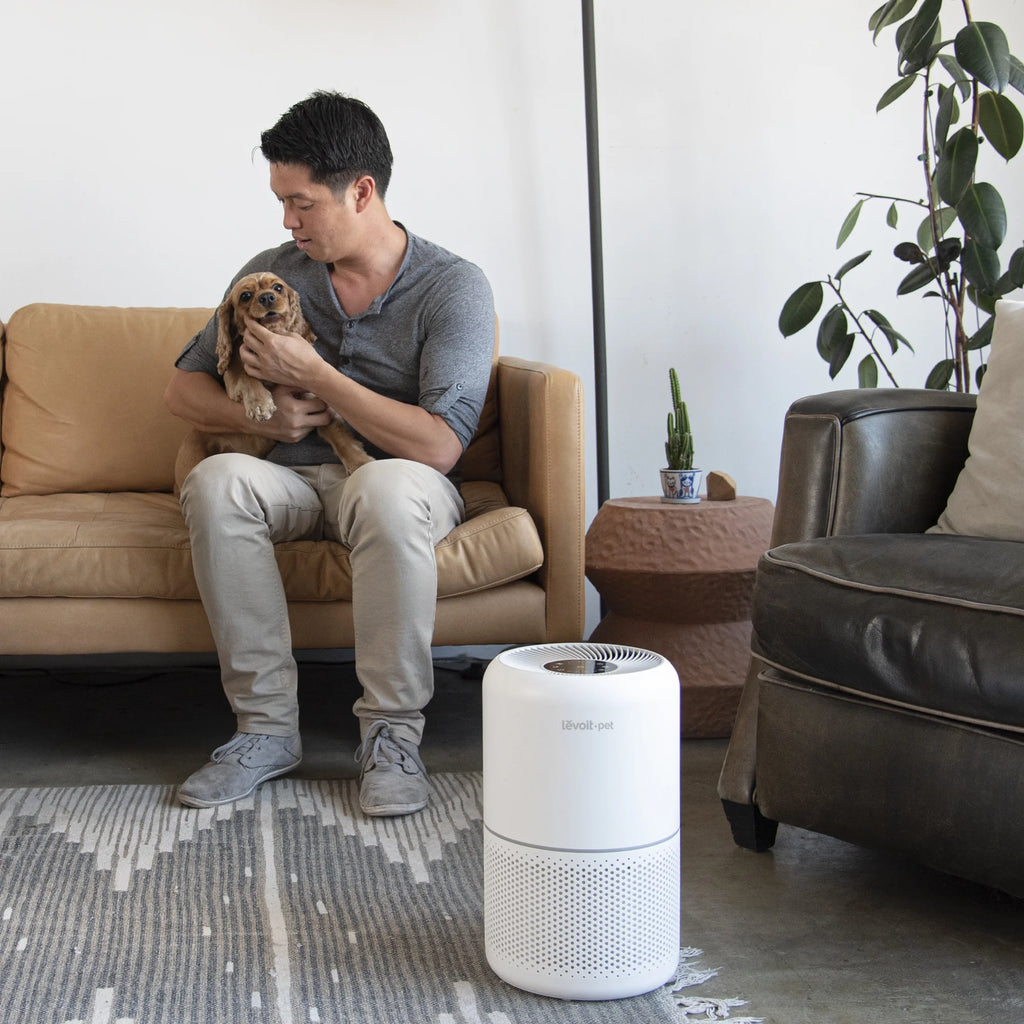 White Air Purifier with HEPA Filters for Large Rooms D2362