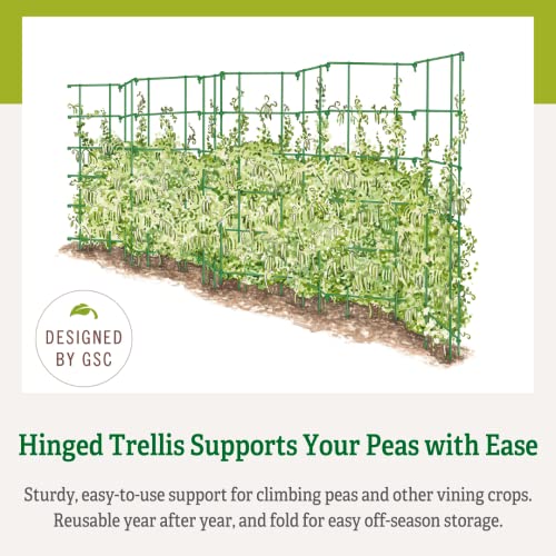 Expandable Tall Pea Trellis for Climbing Plants, Steel Garden Support, 9'8" L x 37" H H309