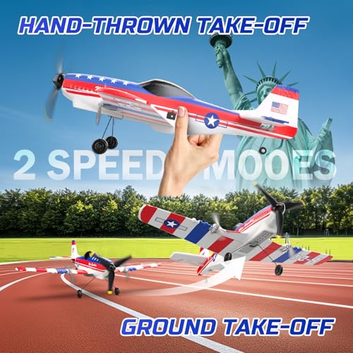 RC Plane 3 Channel Remote Control Airplane Fighter Toy with 2 Batteries Y20067