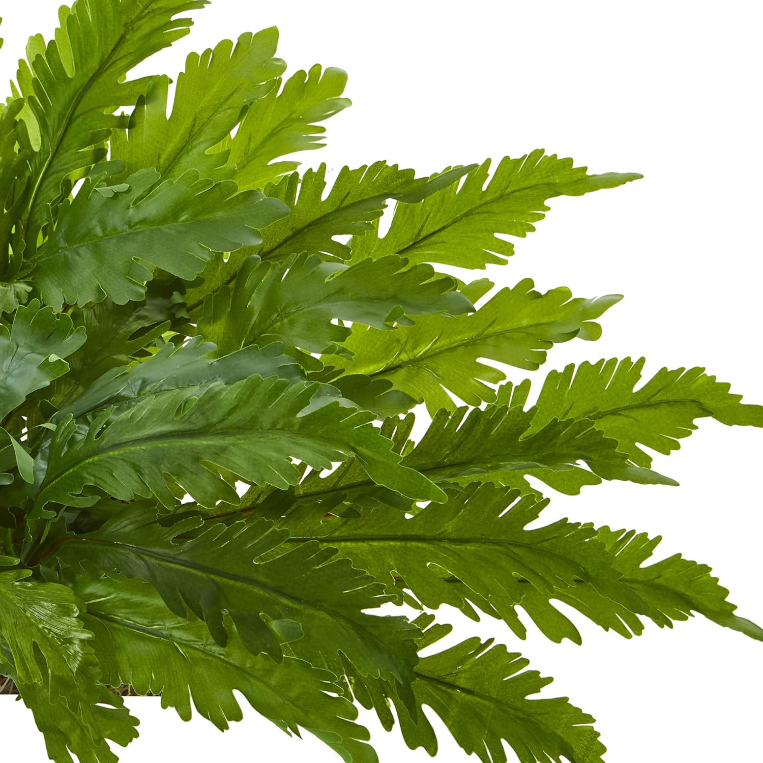 Artificial Fern Ledge Plant L85355