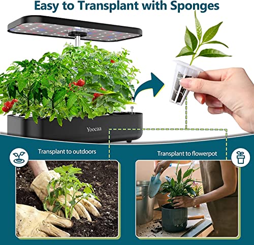 Seed Pods Kit for Hydroponics Growing System, 24pcs Grow Sponges with Nutrient Plant Foods F3417