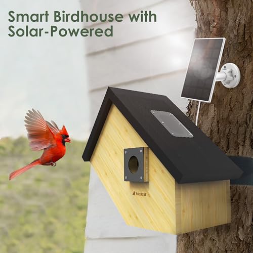 Solar Powered Bird House with HD Camera for Outdoor Viewing J875209