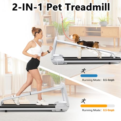 Dog Treadmill for Small and Medium Dogs with Remote Control and LCD Display H10038