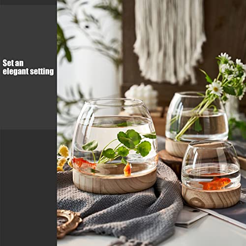 Clear Glass Bubble Vase with Wooden Base for Hydroponic Plants and Flower Arrangement G6771