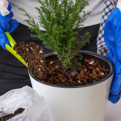 Bonsai Soil Mix, Fast Draining Organic Potting Mix J925