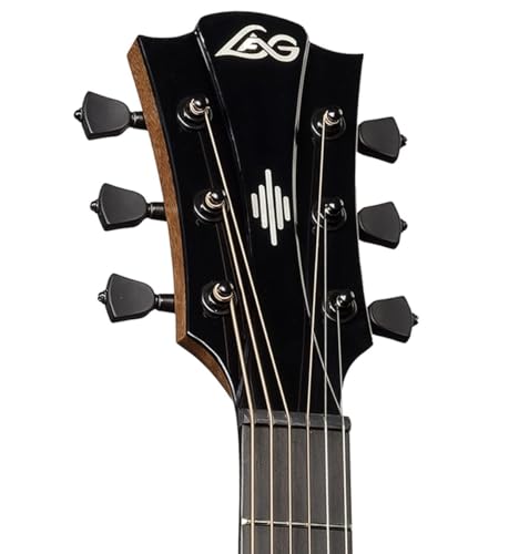 Dreadnought Bevel Gloss Acoustic Guitar F115