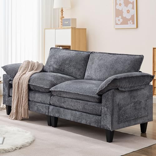 Cloud Loveseat Sofa with Chenille Fabric and Two Pillows Y3500
