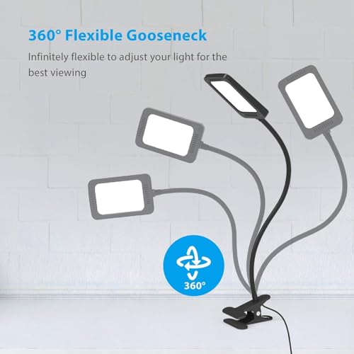 LED Desk Lamp with Clamp, Dimmable, Flexible Gooseneck V37343