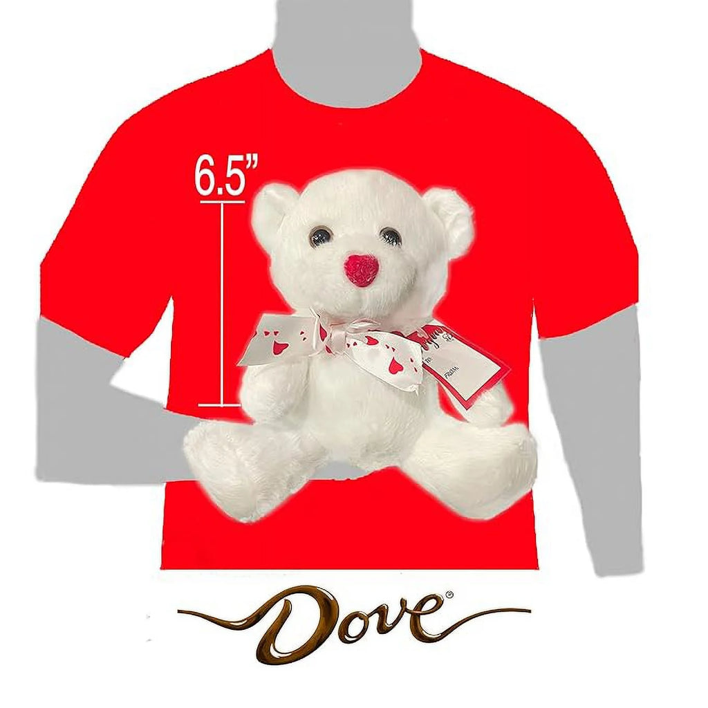 Valentine's Day Chocolate Gift Bundle with Teddy Bear T88129