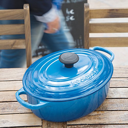 Enameled Cast Iron Oval Dutch Oven, 5 qt. H5540