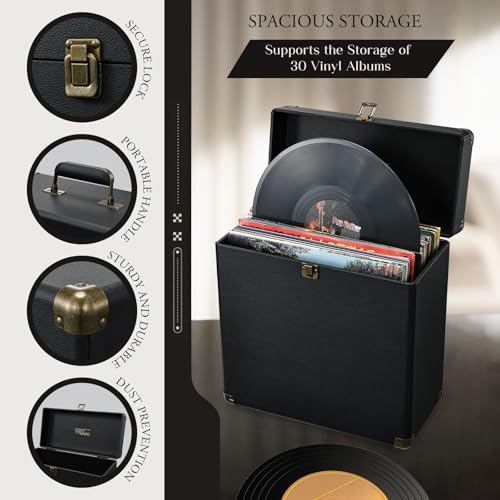 Vinyl Record Storage Box Holds 30 Albums T146