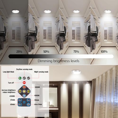Motion Sensor Ceiling Light with Remote, Wireless Battery Operated LED E79120
