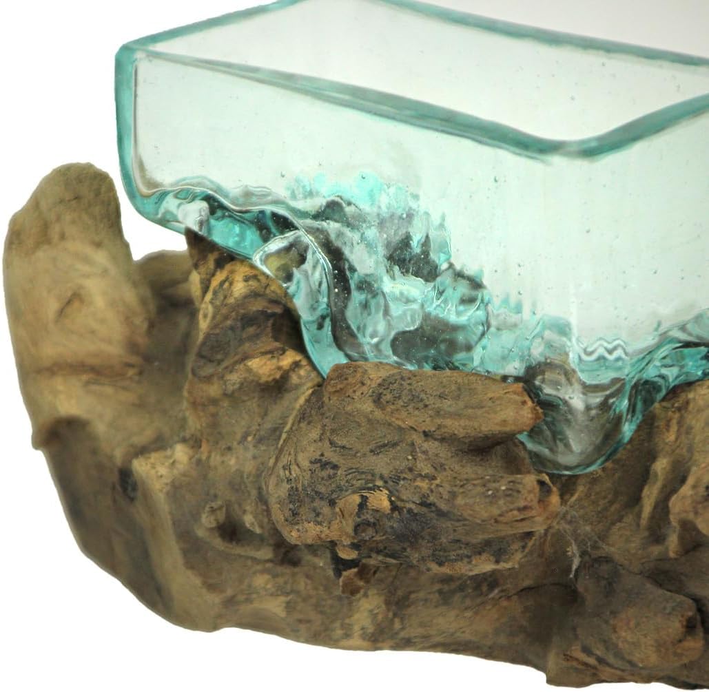 Glass Driftwood Decorative Bowl Vase Terrarium Planter Y130