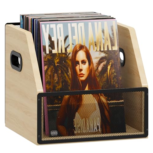 Vinyl Record Storage Box, Holds up to 60 Records V34365
