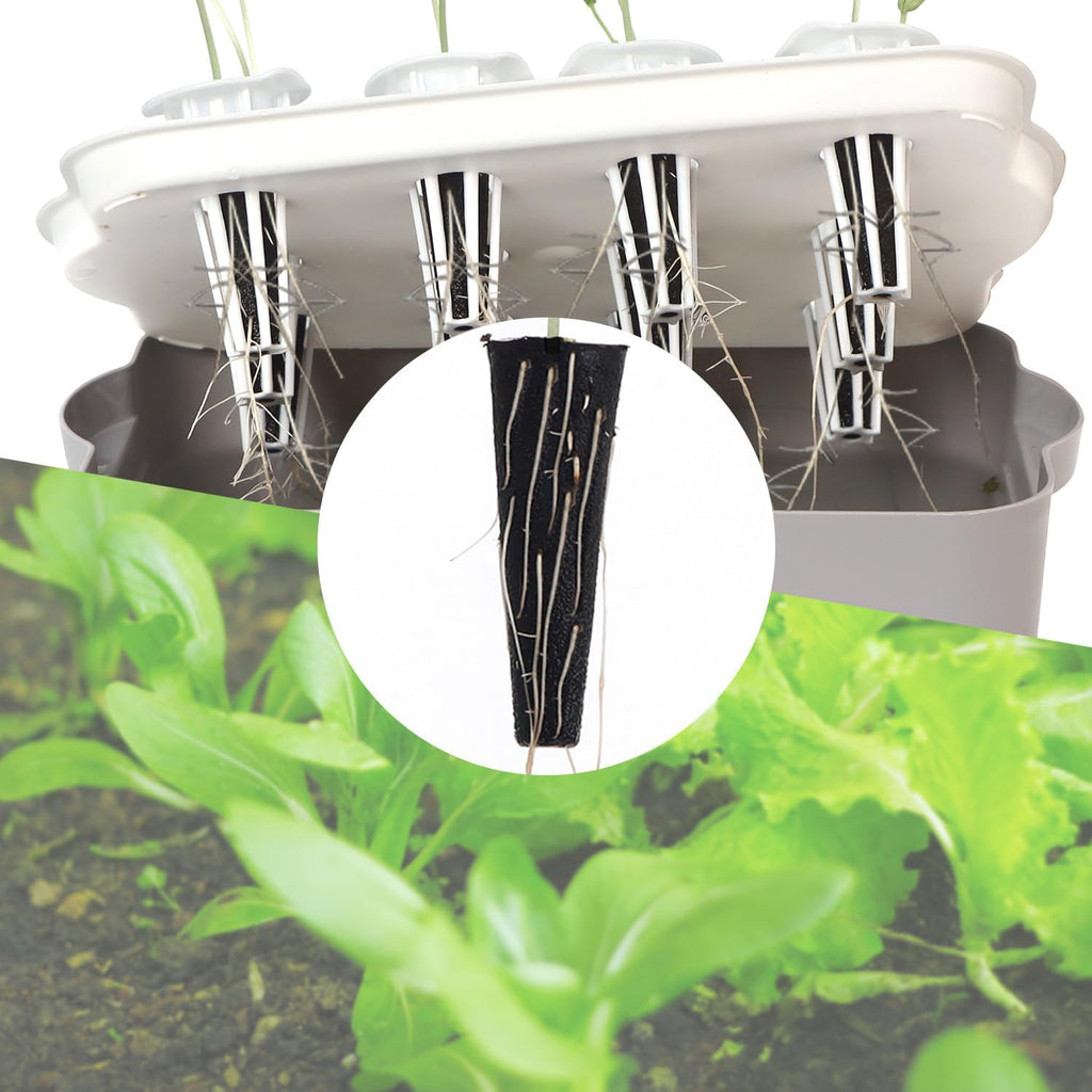 Hydroponic Grow Sponges Kit - 50 Pack Seed Starter Pods for Indoor Garden T8190