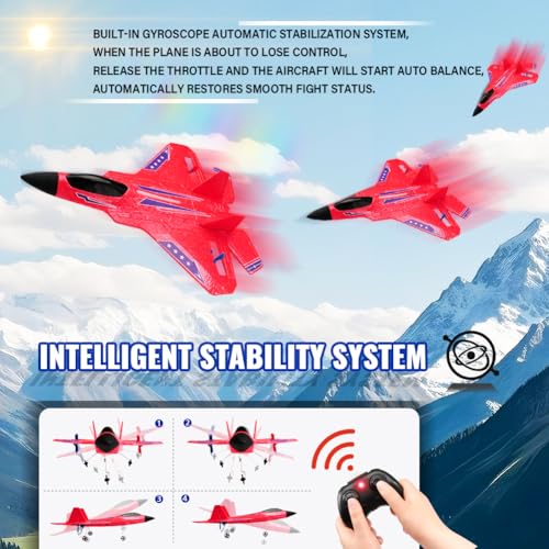 F22 RC Airplane Fighter, 2.4Ghz 2 Channel Remote Control Plane for Kids Beginners Y282