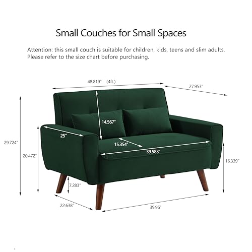 Mid Century Modern Loveseat Sofa with Wood Legs Z78752