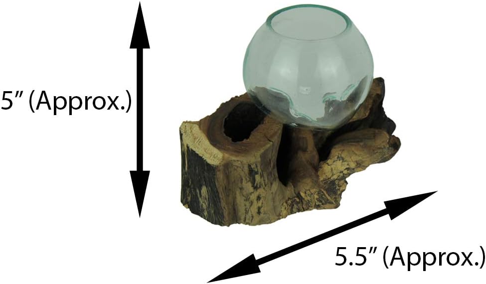 Teak Driftwood Decorative Bowl Vase Terrarium Planter Set of 2 K81433