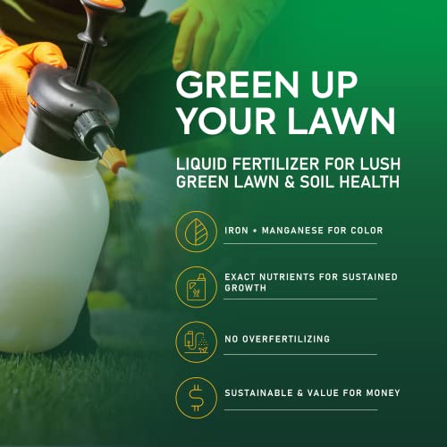 Organic Lawn Fertilizer for Color and Sustained Growth, 32 oz. P6208