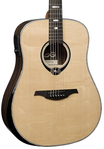 Dreadnought Bevel Gloss Acoustic Guitar F115