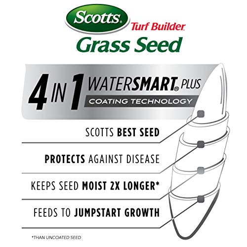 Tall Fescue Grass Seed Mix with Fertilizer and Soil Improver, 5.6 lbs. W545300