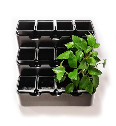 Wall Planter for 12 Plants, Indoor/Outdoor, White with Black Pots N25993