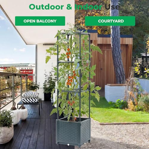 Raised Garden Bed with Tomato Cage and Trellis for Outdoor Planting L957