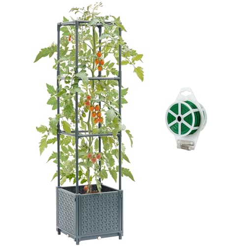 Raised Garden Bed with Tomato Planter Cage, Trellis Planter Boxes for Outdoor Patio Greenhouse Gardening Climbing Vegetables