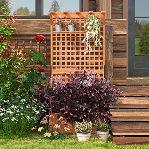 Raised Garden Bed with Trellis & Roof, Wooden Planter Box for Outdoor C209623