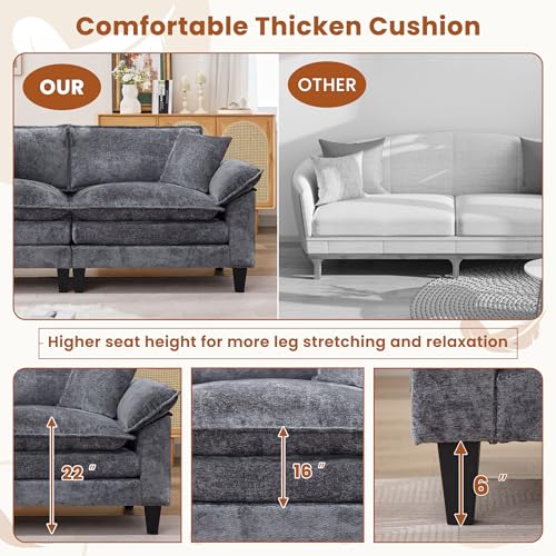 Cloud Loveseat Sofa with Chenille Fabric and Two Pillows Y3500