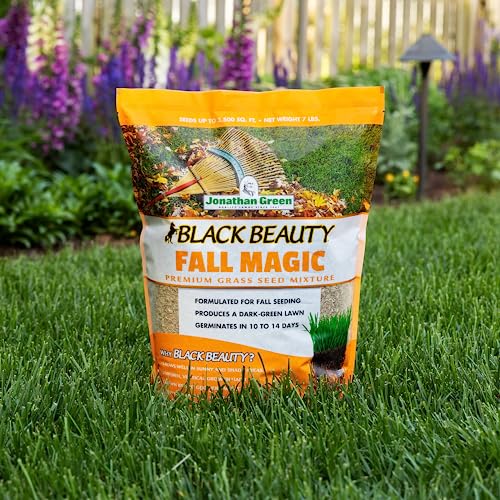 Black Beauty Fall Magic Grass Seed - Cool Season Lawn Seed (3 lb) P905
