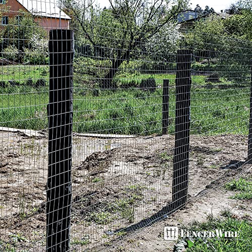 14 Gauge Galvanized Welded Wire Mesh 2x4 Inch Z530147