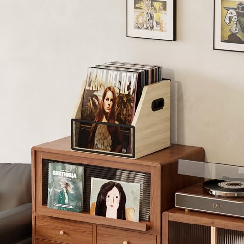 Vinyl Record Storage Box, Holds up to 60 Records V34365