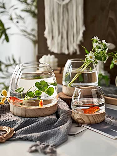 Clear Glass Bubble Vase with Wooden Base for Hydroponic Plants and Flower Arrangement G6771