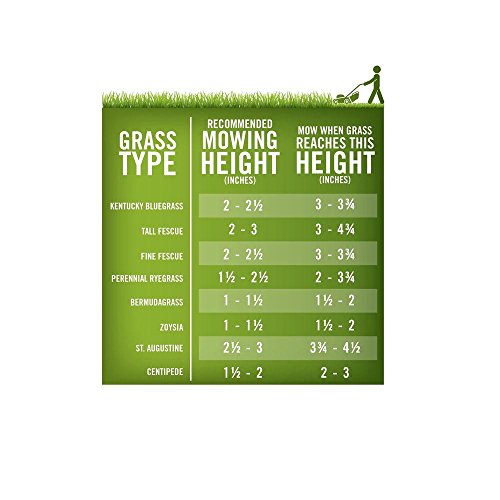 Tall Fescue Blend Grass Seed, 50 lb S90188