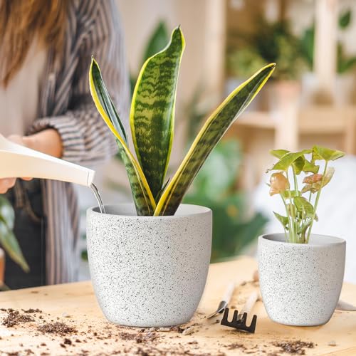 Ceramic Plant Pots Set of 3 with Drainage Hole, Indoor Outdoor D896728