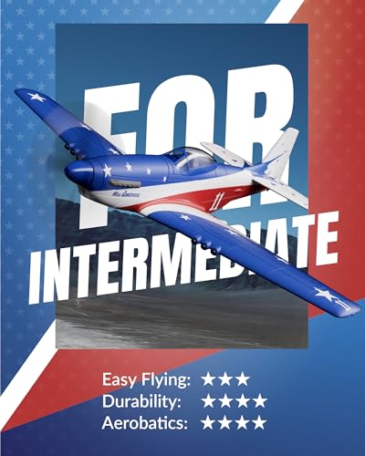 RC Plane 4 Channel Remote Control Fighter Airplane with 6-Axis Gyro, Easy to Fly for Beginners L2816