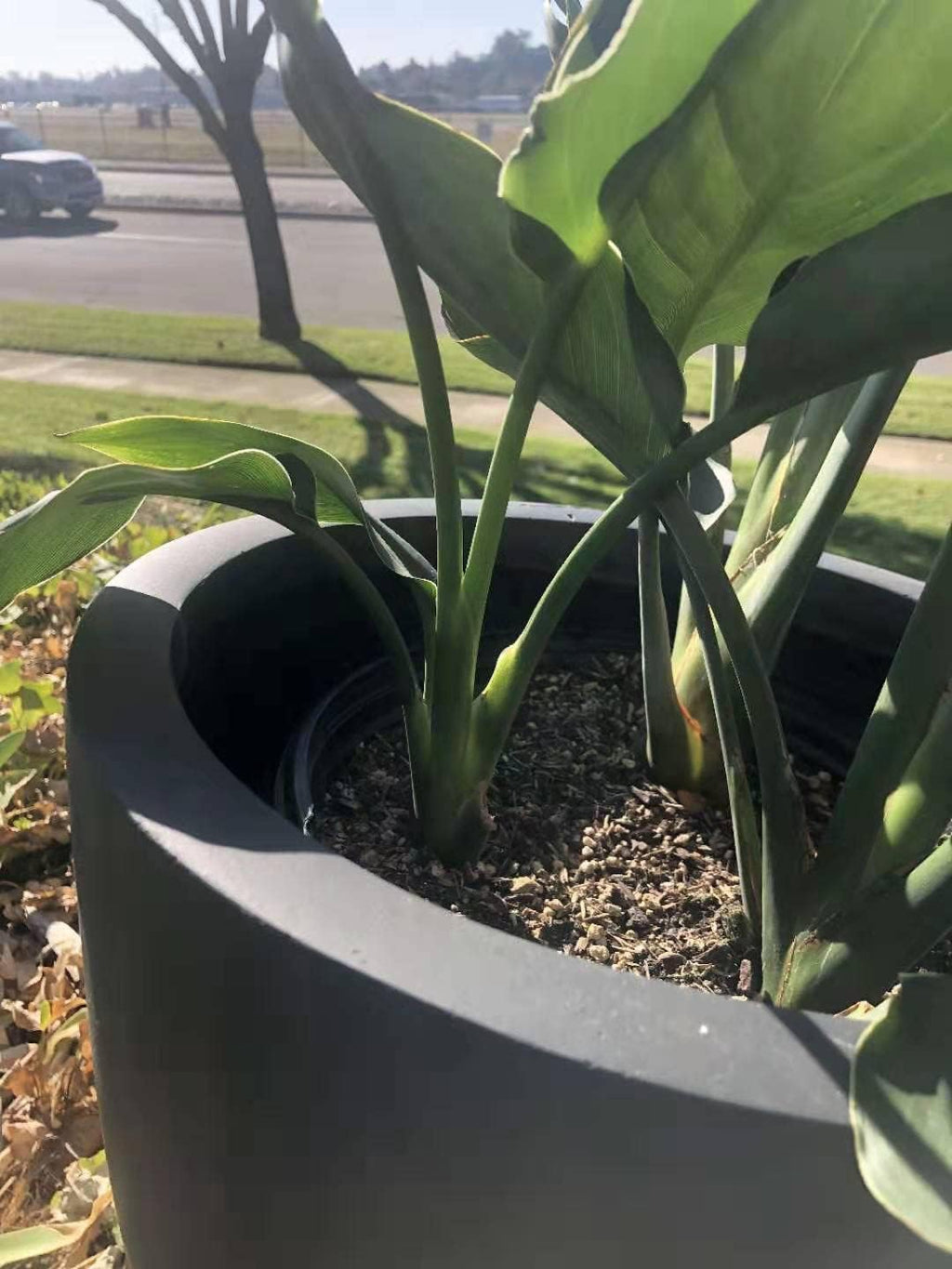 16" Round Charcoal Lightweight Bowl Planter T712
