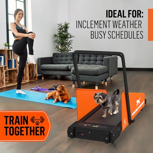 Dog Treadmill for Small and Medium Dogs U305595