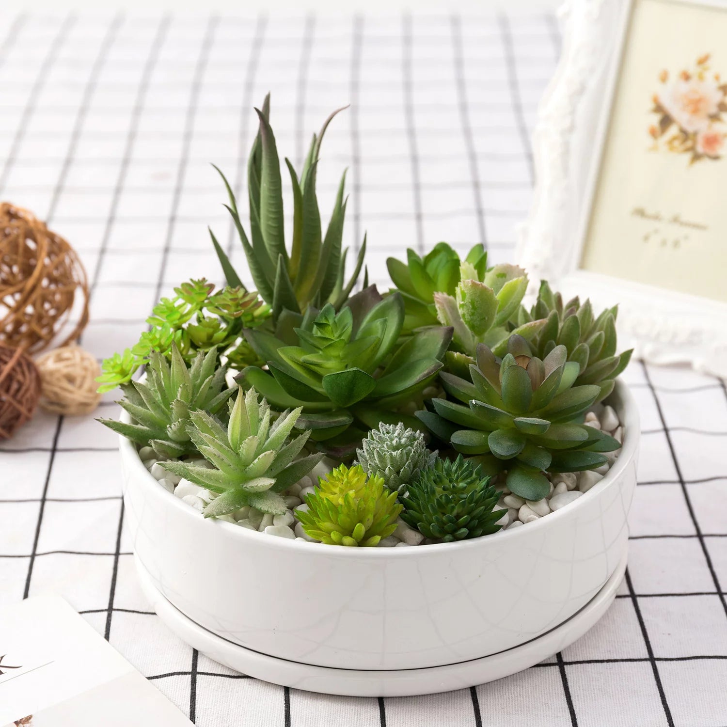 8 inch White Ceramic Round Succulent Planter G755