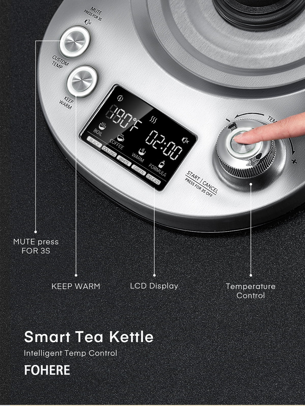 Electric Tea Kettle with Temperature Control, 1.7L C604